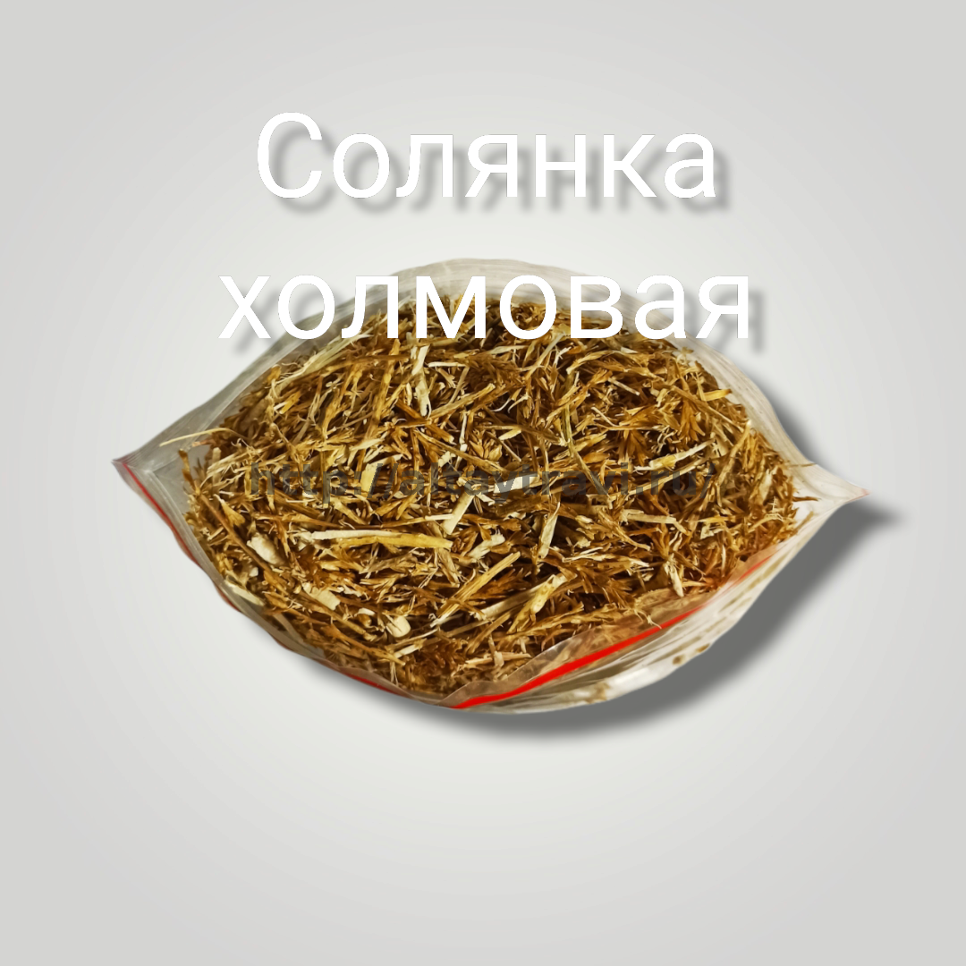 Солянка холмовая - купить по низкой цене в интернет-магазине Травы Алтая